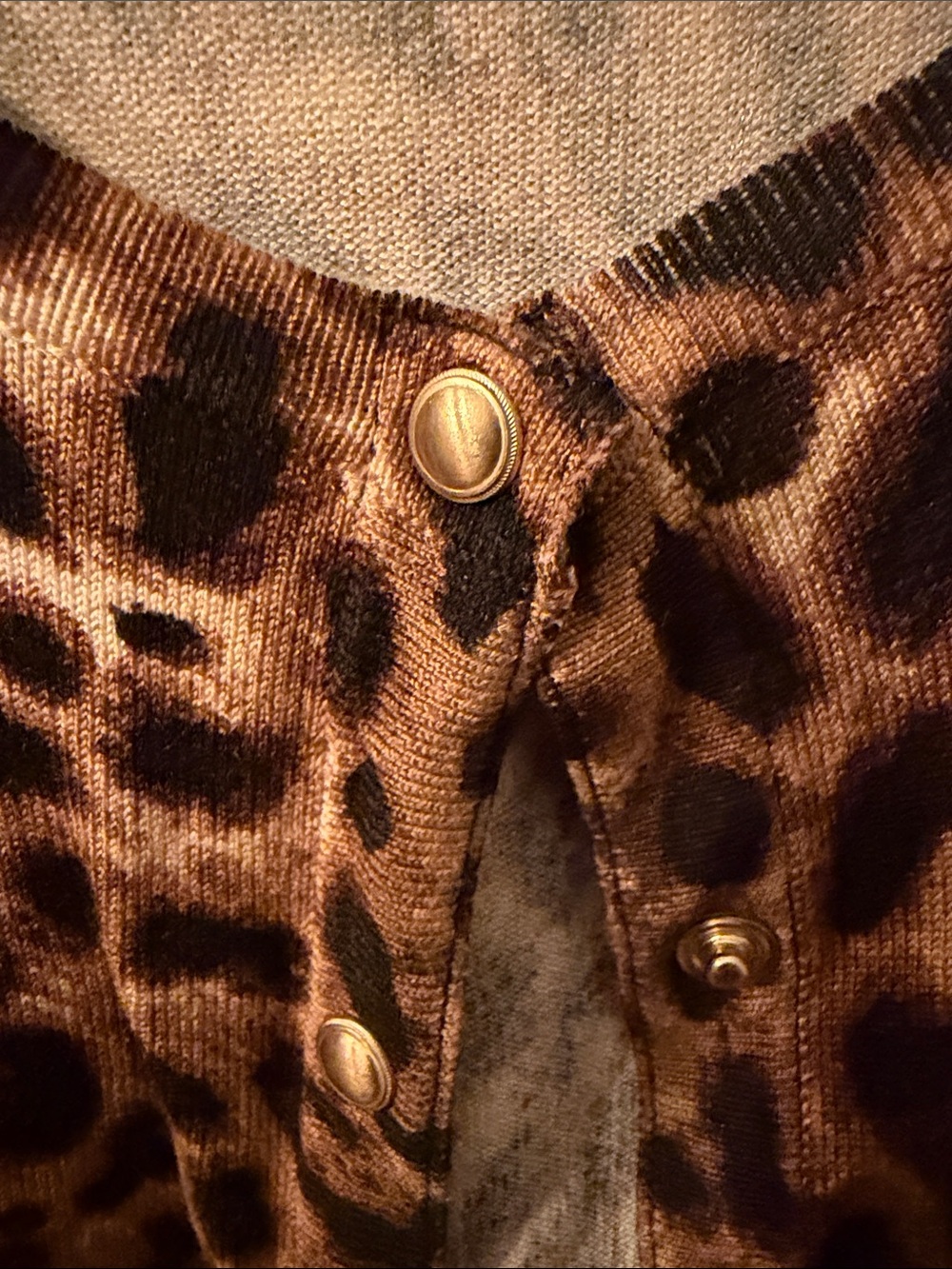 White House Black Market Leopard-Print Cardigan in Brown and Tan - Picture 3 of 4